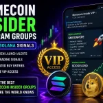memecoin insider group